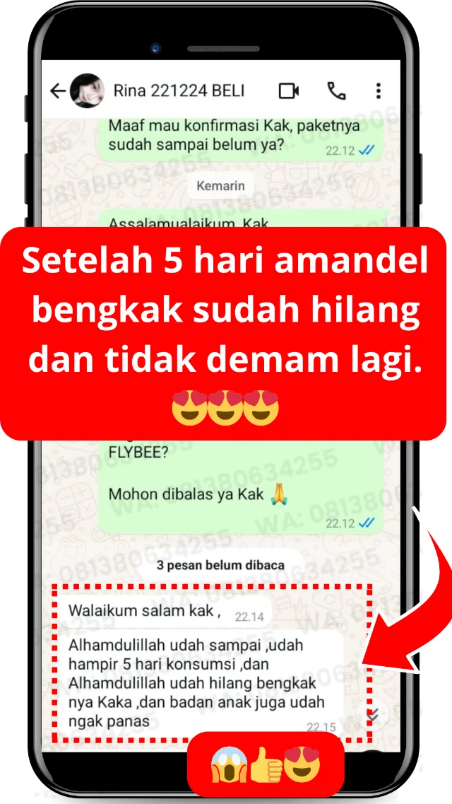 Testimoni FLYBEE 5 hari