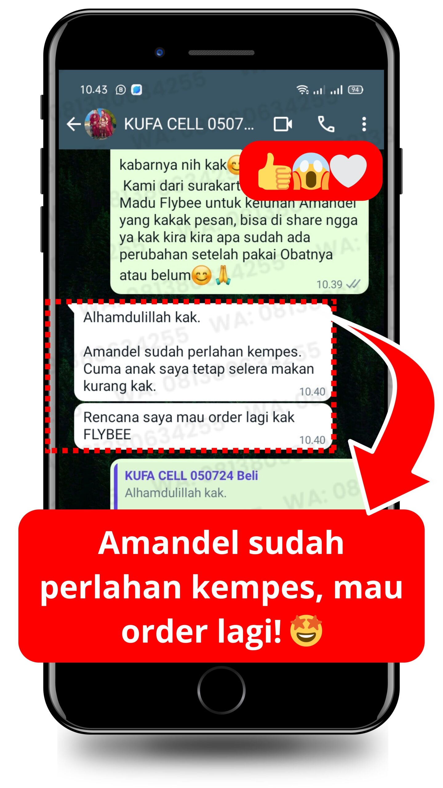 Testimoni FLYBEE kempes