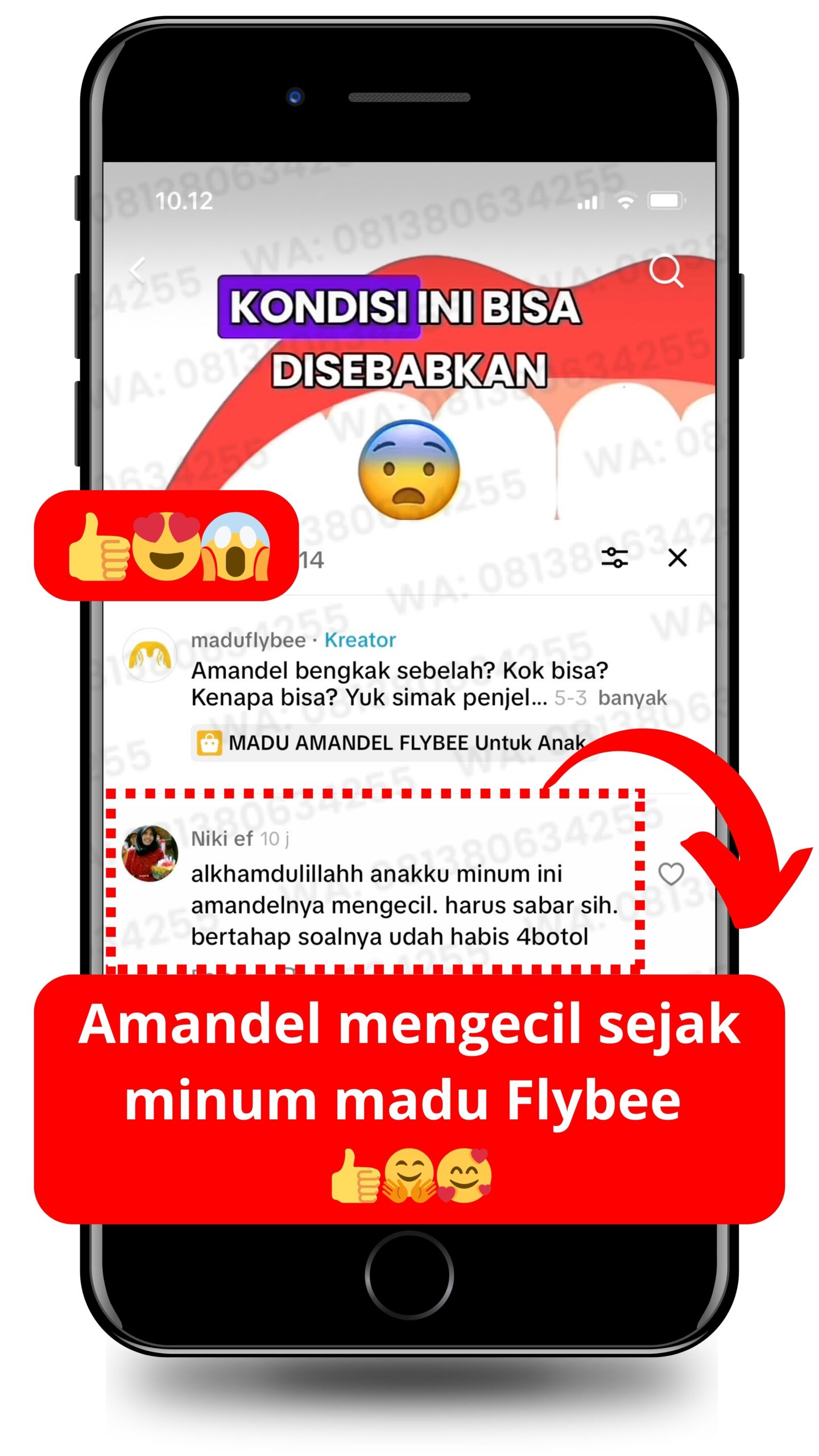 Testimoni FLYBEE TikTok